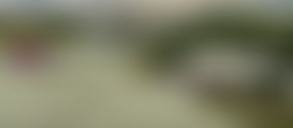 Niški aerodrom od sada i u popularnoj igrici Microsoft Flight Simulator