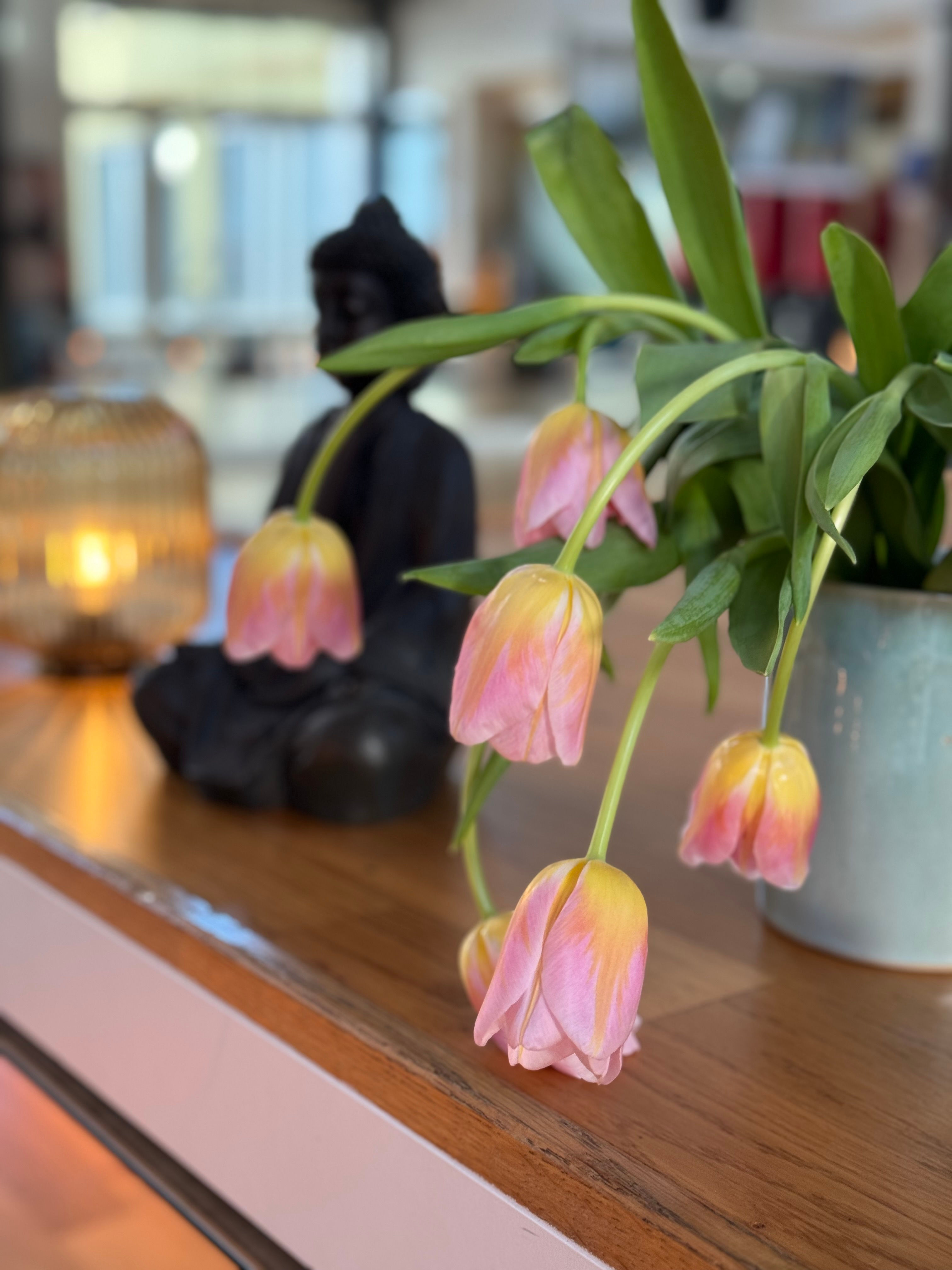 1:1 Holistic Coaching (60 Min.)