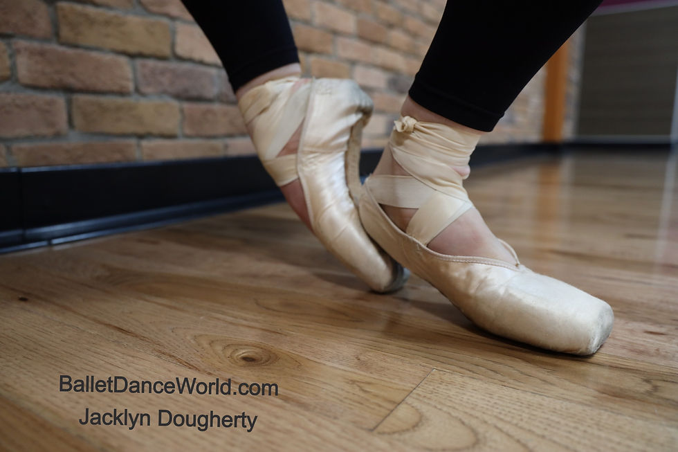 Jacklyn Dougherty