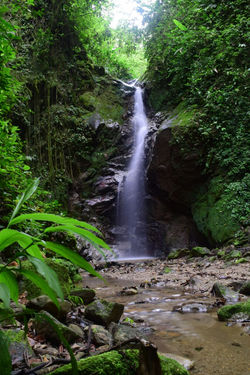 CascadaEncantada (1)