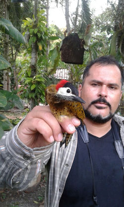 3er Festival de Aves del Tolima