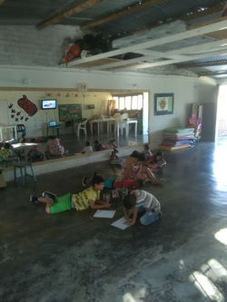 3er Festival de Aves del Tolima