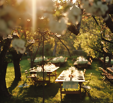 imcaschoots_a_scene_of_a_italien_wedding_diner_with_lang_tables_2804b79d-b20b-48aa-bbd1-64