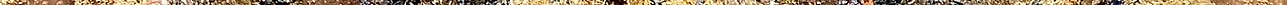 82FD55C5-0D2D-4EC7-9636-F09A4E553E7A_1_201_a.jpeg