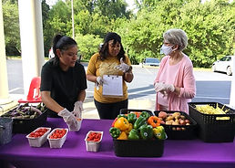 bulb1 (1)_edited.jpg