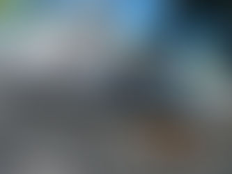 Converting A Flat Roof Into A Pitched Roof