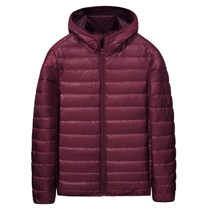 Men's Short Lightweight down Cotton Jacket Autumn Winter New Style Bread Style C