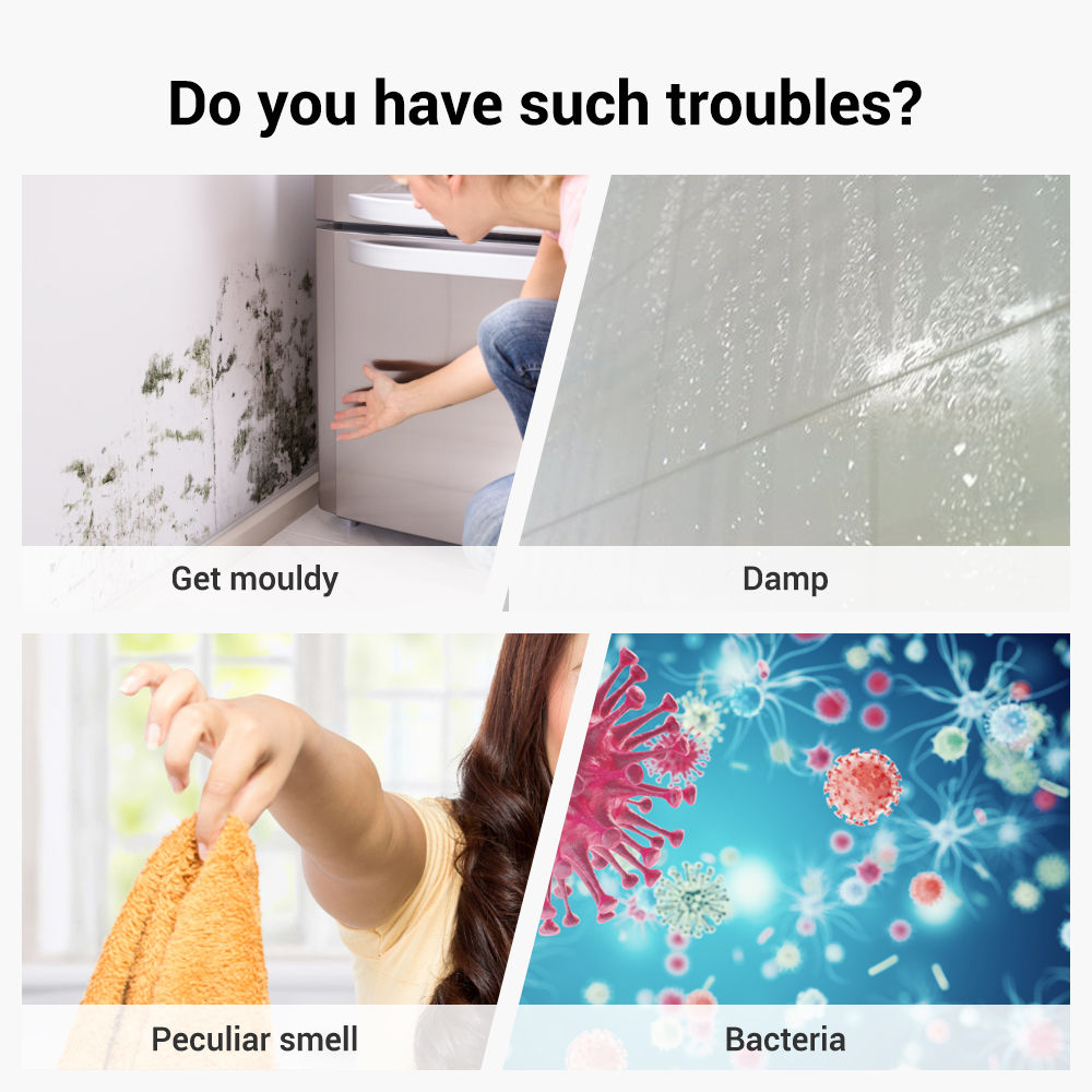 Home Dehumidifier Bedroom Mute Moisture Absorber Air Dryer Mini Humidity Dehumid