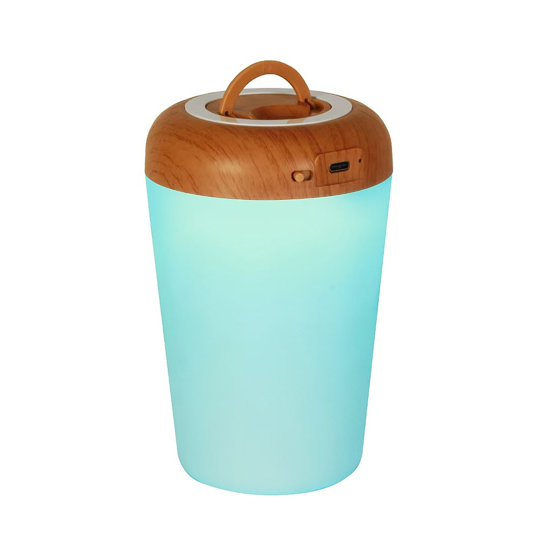 13 RGB Color Changing Portable Bedside Lamp Dimmable Remote Control USB Recharge