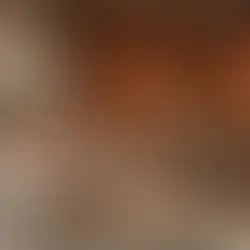 warm, cosy living room in Hampton VA