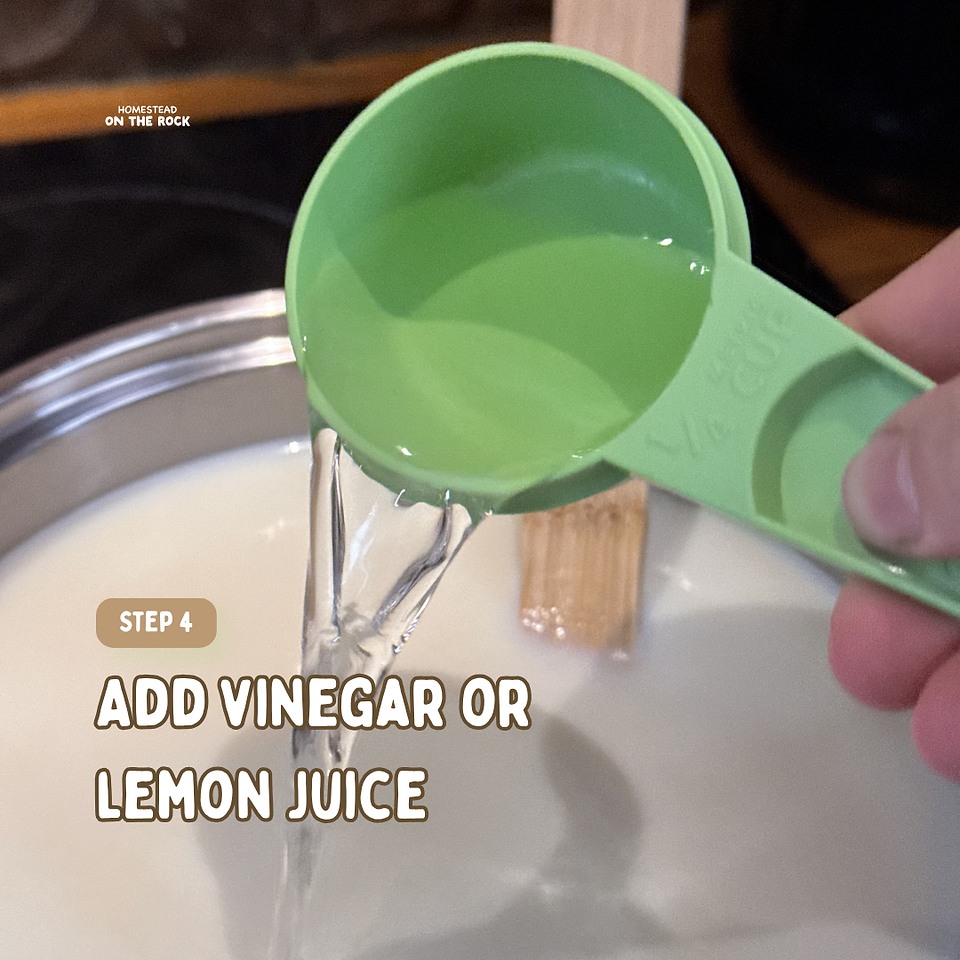 Lemon juice or vinegar being added to heated milk to form ricotta curds.