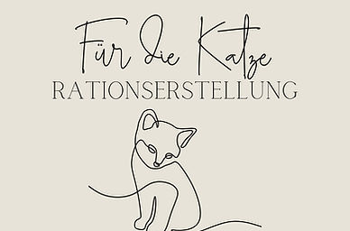 Katze.jpg