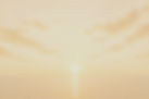 A4DE3192-2B39-4E25-B227-3B94BE3EE7A3_edited.jpg
