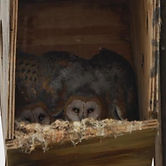 Wooden box part II.jpg