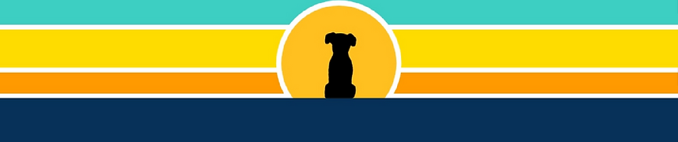 BN Header Stretched Horizontally_2.png