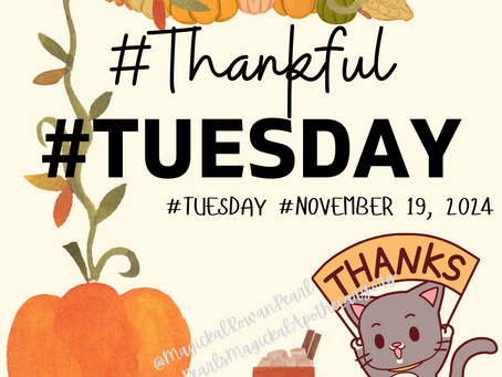 #Tuesday #November 19, 2024 #ThankfulTuesday