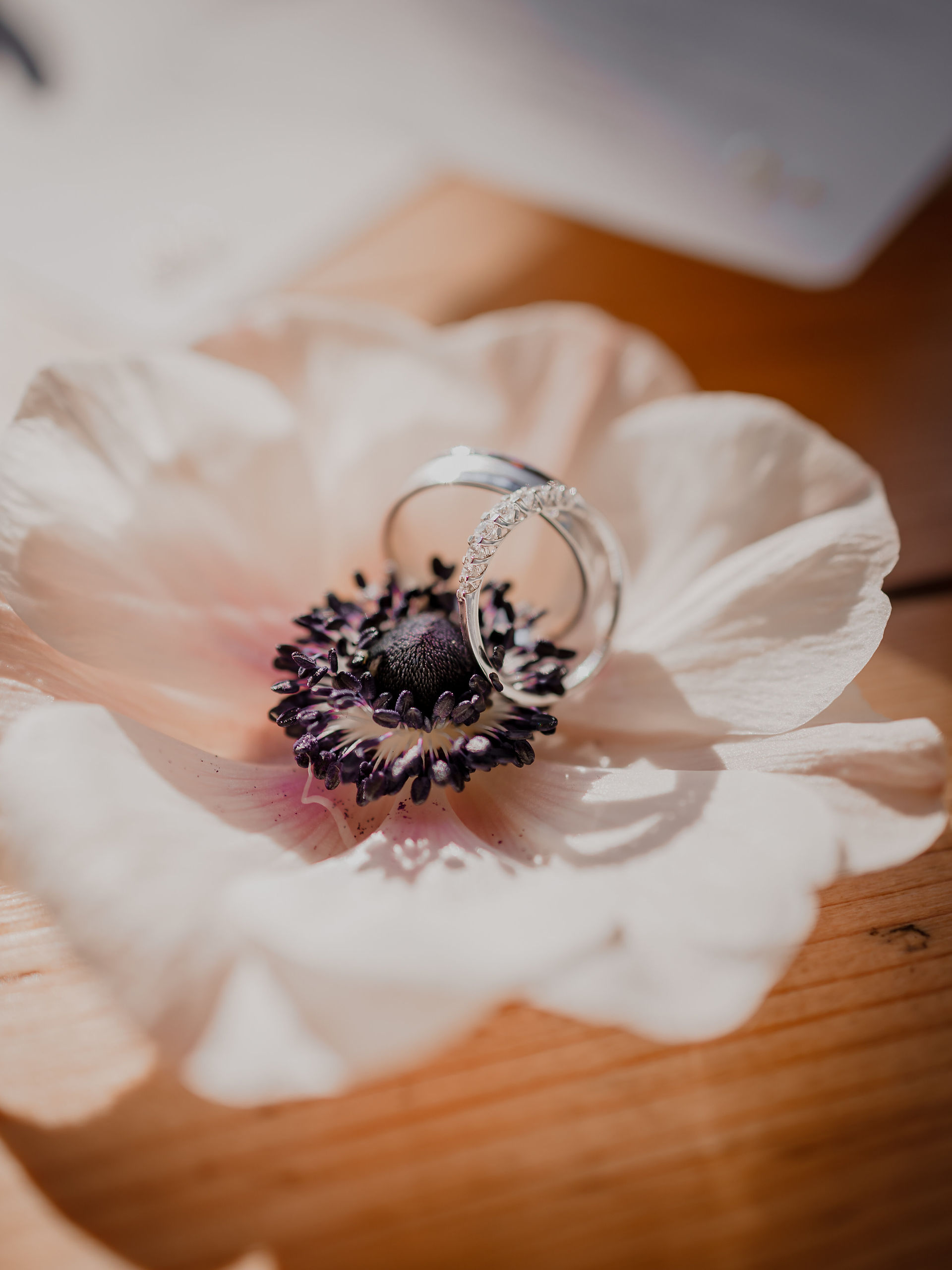 Découvrez L’Essence du Drapé, un shooting d’inspiration mariage alliant élégance et raffinement à travers un thème poétique et intemporel. Des tissus fluides, des compositions florales délicates, une ambiance glamour et apaisante : tout a été pensé pour offrir un moment hors du temps. Organisé par @mariage_poudré et immortalisé par @stephanie_dubois, ce projet est une véritable ode à la douceur pour un mariage inoubliable.