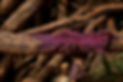 file_00000000ba1861f4a4587880193ea7c1_edited.jpg