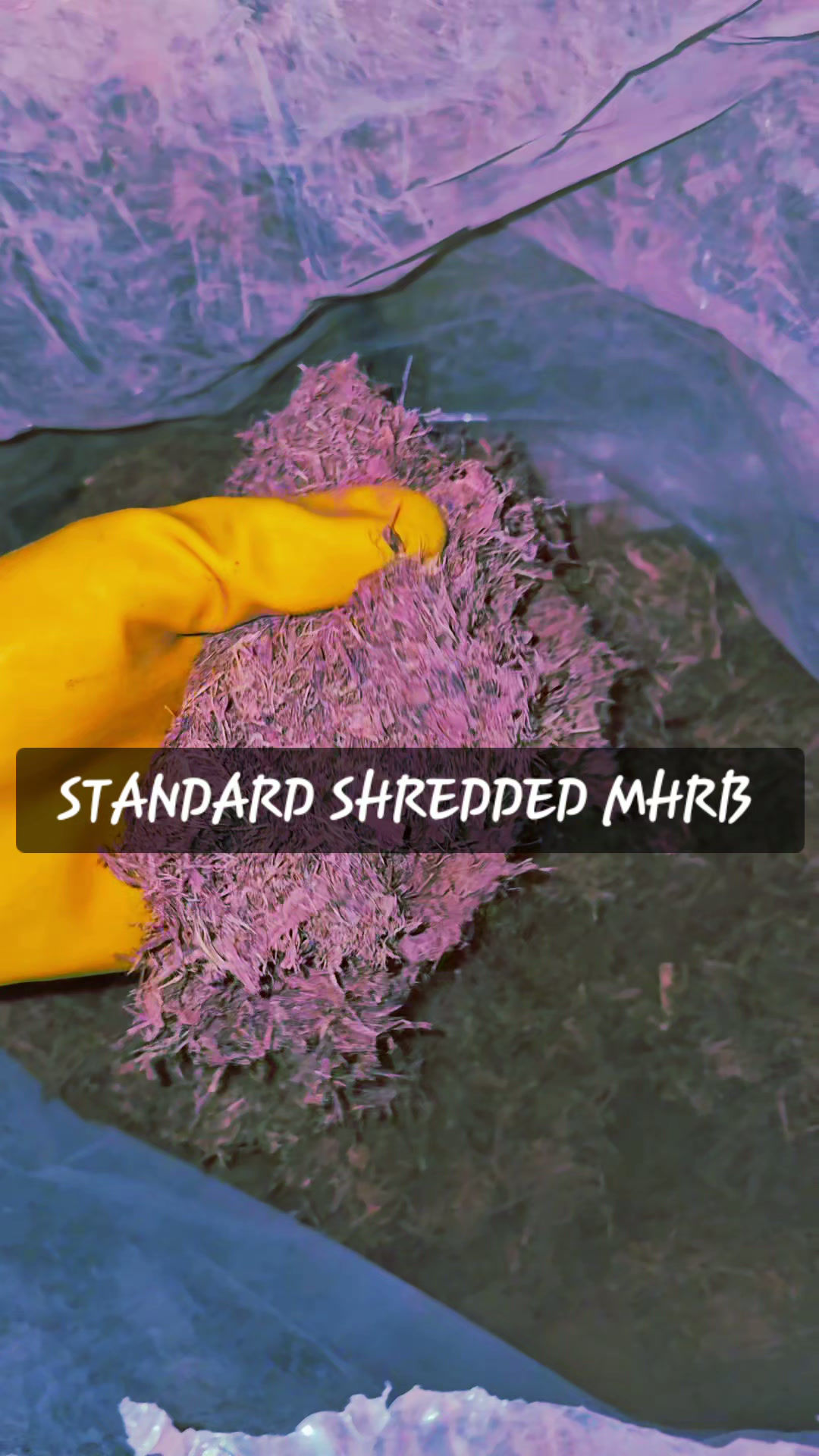 (Standard Shred) Mimosa Hostilis Premium Grade - MHRB (Purple - Red Dye)