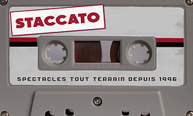 20 ans tape.jpg