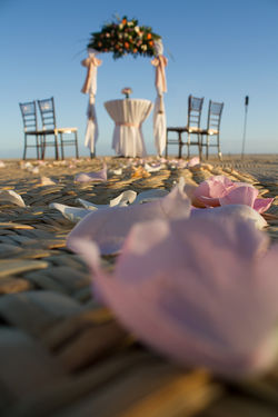 _MG_7174