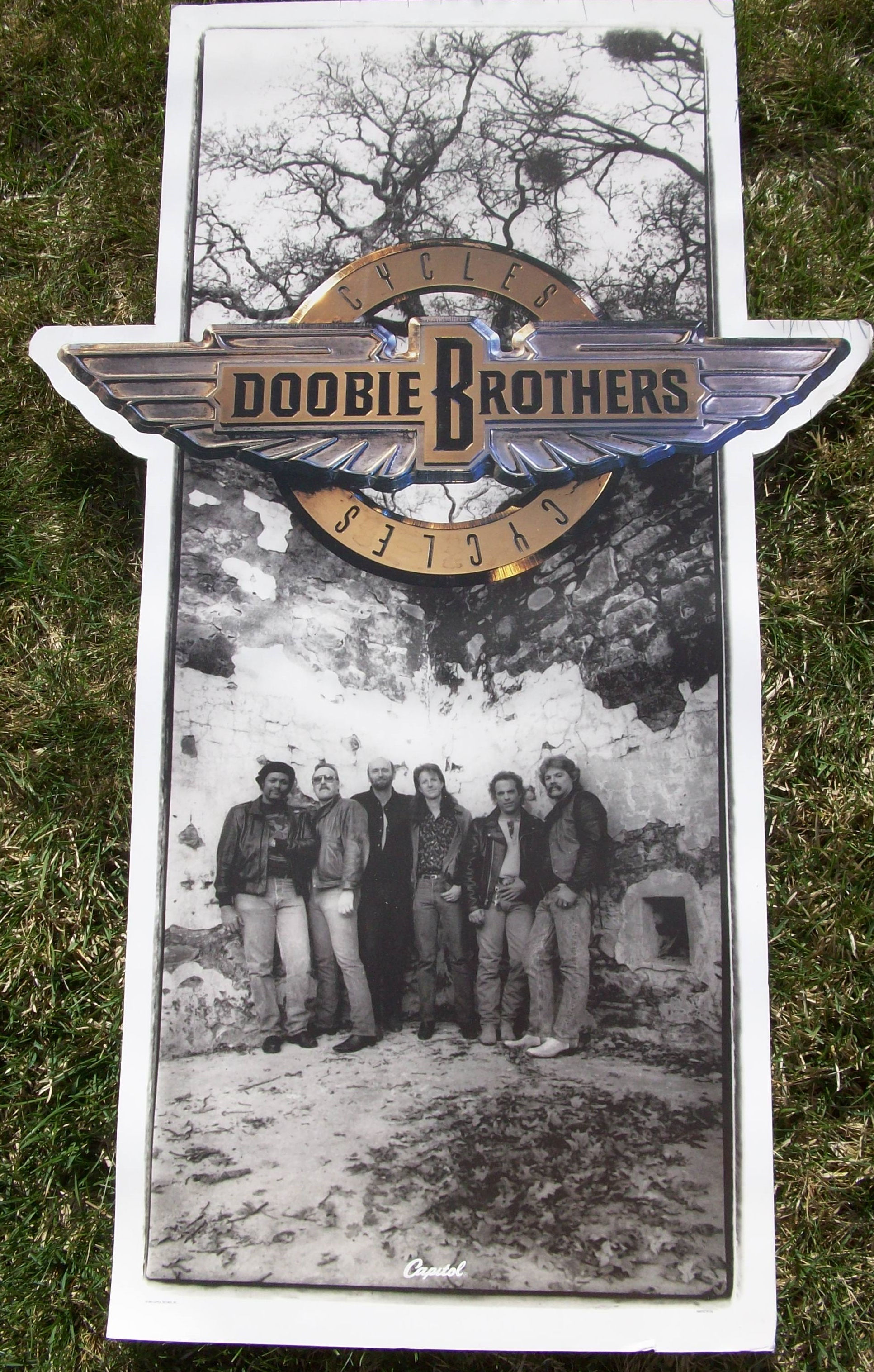 Doobie Brothers — Cycles (Capitol promo, columnar display)
