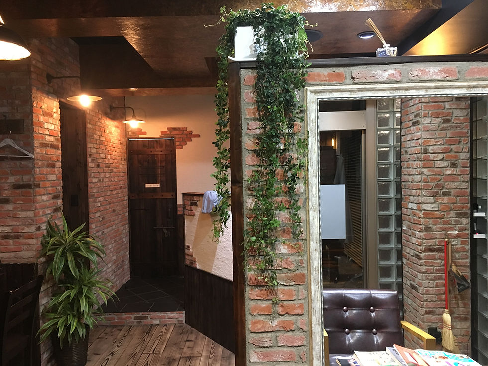 美容院ダフ湘南・茅ヶ崎 お店の植物