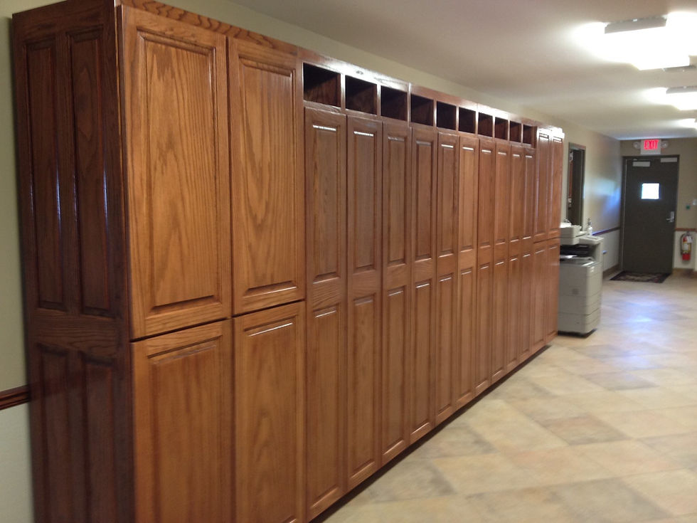 Cabinet 1.jpg