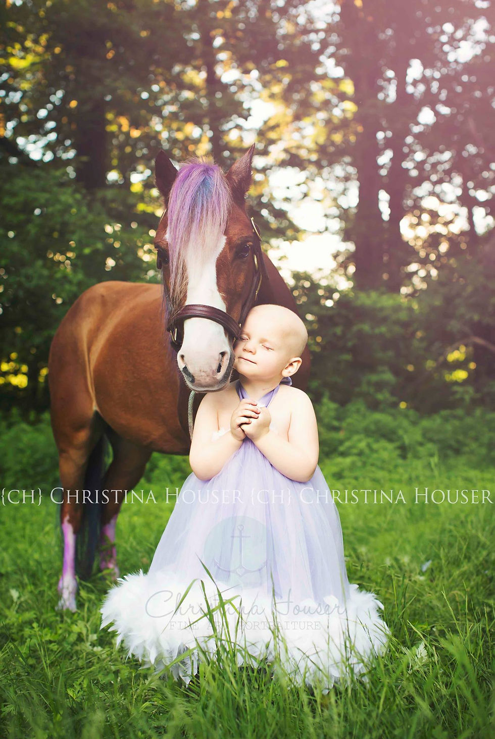 favoriteponyphoto