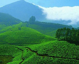 Kerala_mountains.jpeg