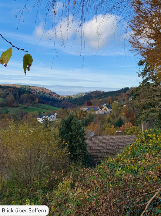 Sonnige-Suedeifel-Aussicht_14.jpeg