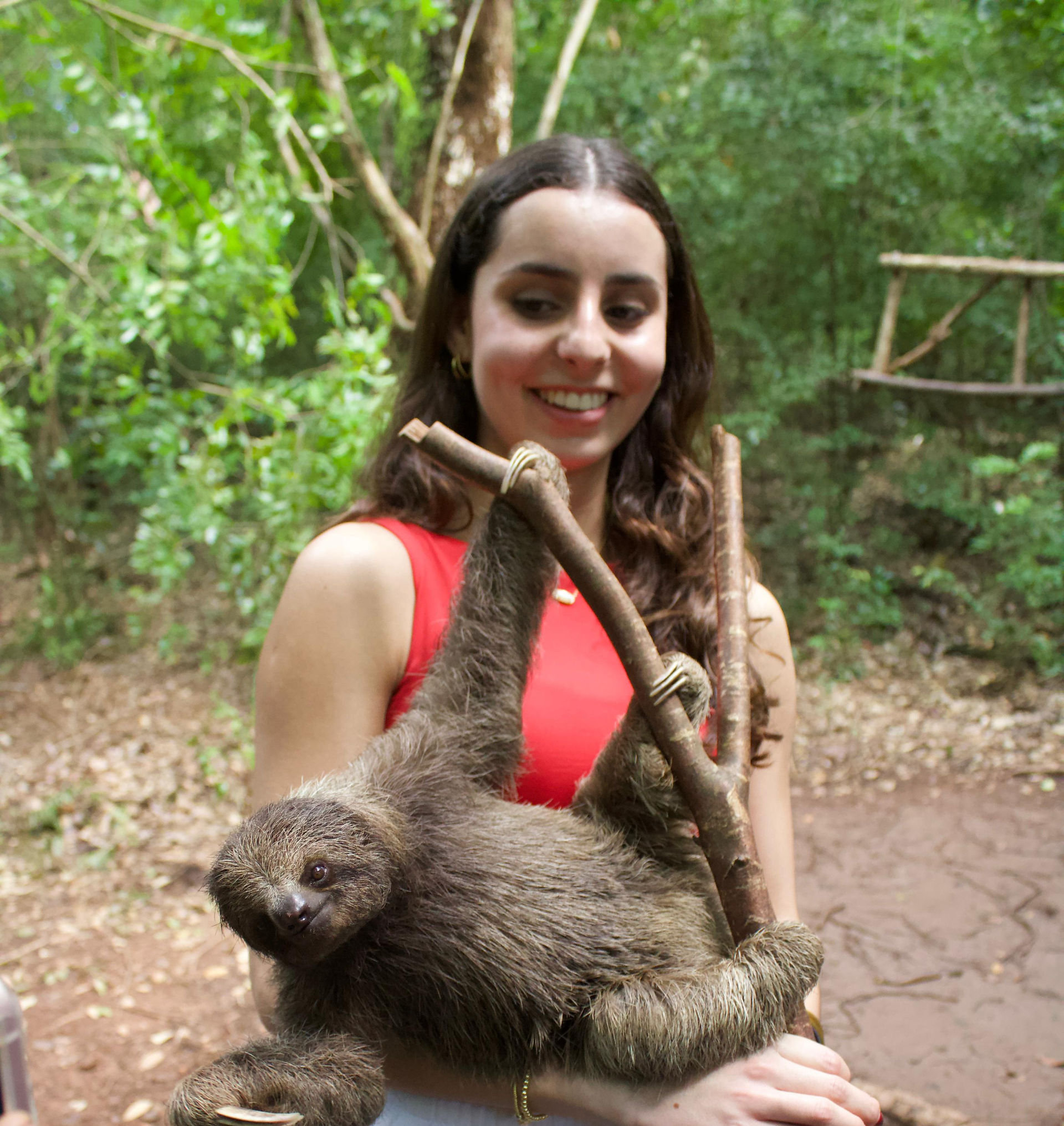 Sloth Sanctuary - Roatan