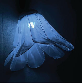 abloom opening image.jpg