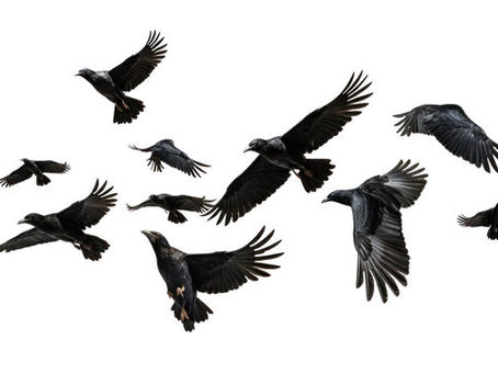 "Evermore", cried the unkindness