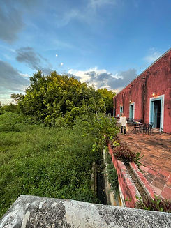 Hacienda ticopó terrenos de inversión .jpg