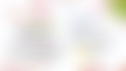 Grupo Luta Pela Vida realiza edição especial do Bazar e Feira de Plantas para o mês da mulher (07/03)