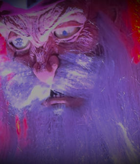 the gannon house promo_edited.jpg