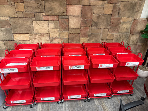 Menstrual product donation delivery for Alexander County Schools