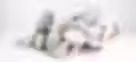 e0bca8_c7c81265621248aa907291c501942102~mv2.avif