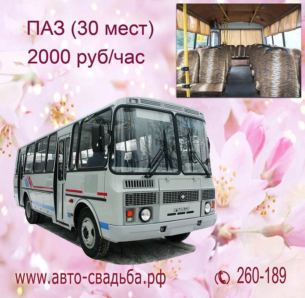 ПАЗ 30 мест