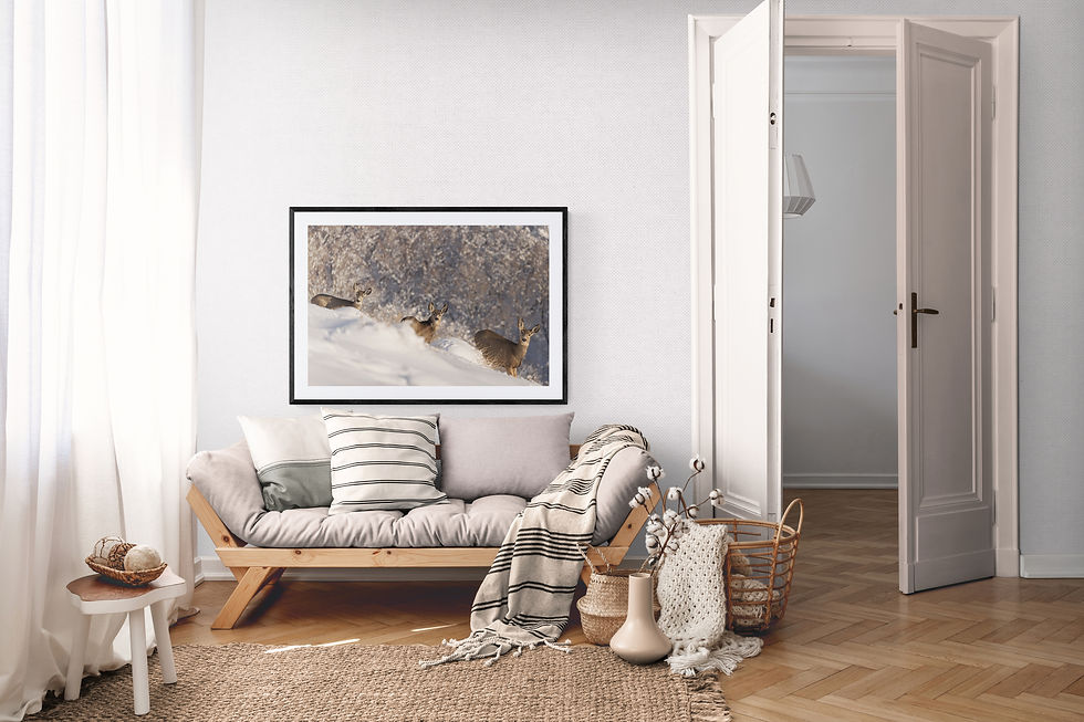 Thumbnail: 3 Deer in the Snowy Forest