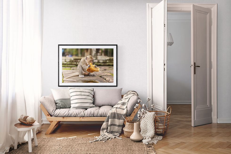Thumbnail: Baby Monkey Eating