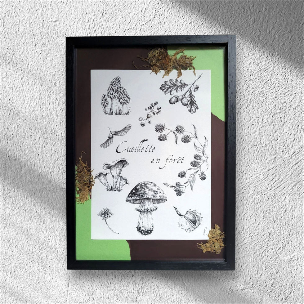 Cueillette en forêt