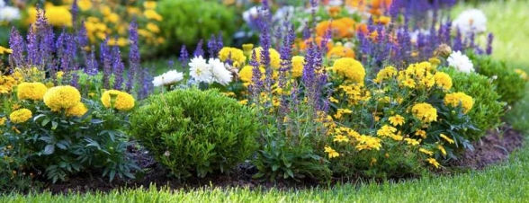 landscaping-chesapeake-va.jpg&w=588&h=226&zc=1&q=100.jpeg
