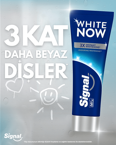 signal afiş.png