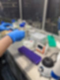 PXL_20220715_194115112.MP.jpg