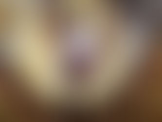 American Chestnut Restoration Project – Learning from the Ground Up!