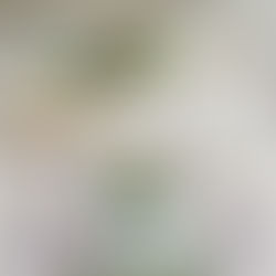 MLLT Donor Appreciation Dinner 2024