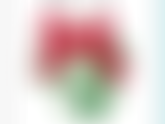 File Downloader Download 3 14103 AsianGirls163.avi.exe