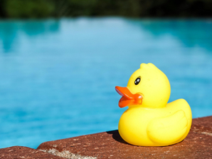 Don’t Be a Sitting Duck on Data Privacy